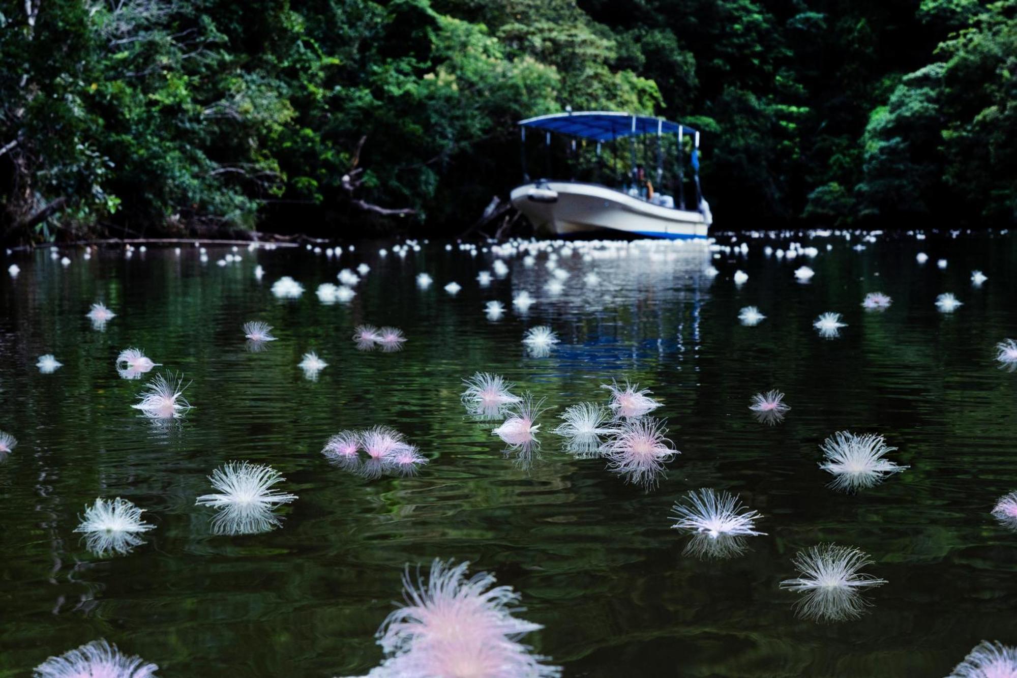 Iriomote Hotel By Hoshino Resorts Urauchi Exterior foto
